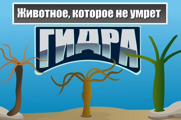 Кракен магазин даркнет