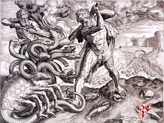 Маркетплейс кракен kraken
