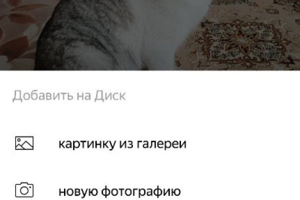 Кракен маркет что это