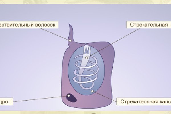 Kra36.cc Вход на сайт главная страница