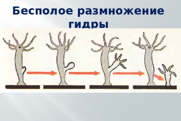 Даркнет москва