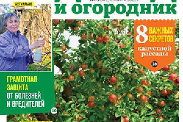 Кракен маркетплейс купить порошок