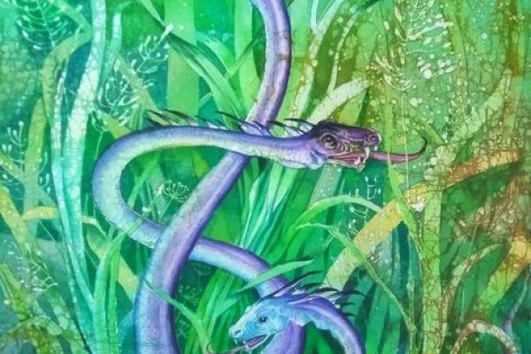 Kraken новая ссылка