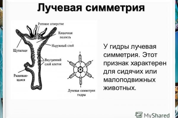 Кракен маркетплейс в питере
