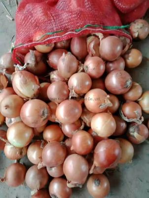 Kraken ссылка onion 2kmp