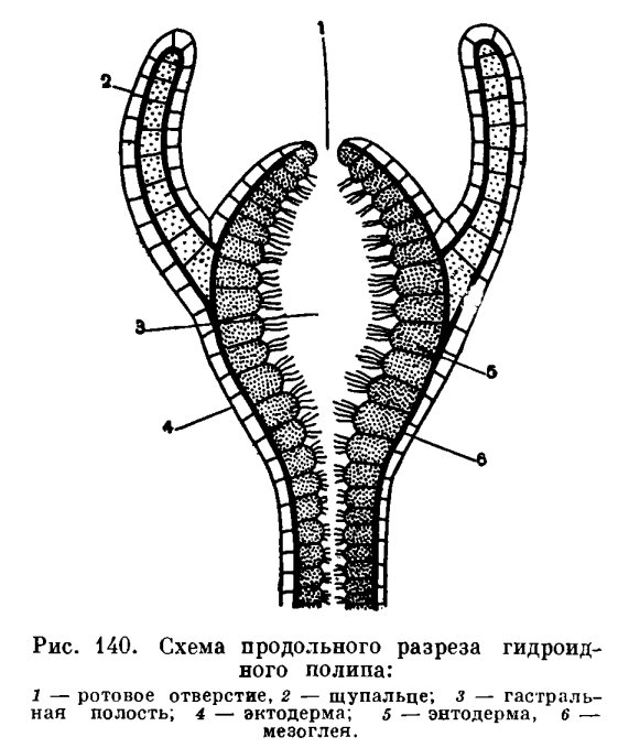 Кракен интернет