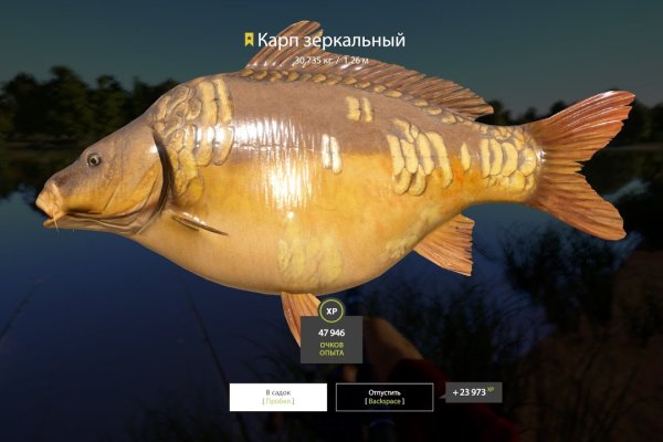 Kra46.cc