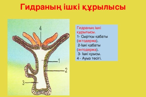 Kra44.cc Вход на сайт главная страница