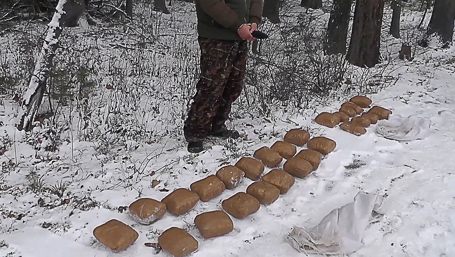Mega darknet ссылка
