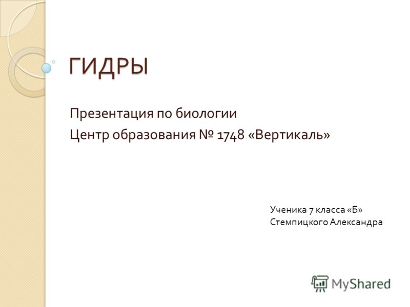 Кракен онион зеркало